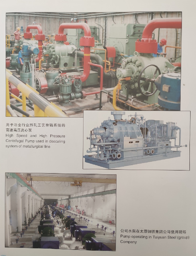 国内用户
